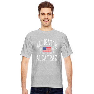Alligator Alcatraz Est 2025 American Flag Patriotic Made in USA T-Shirt - heather gray