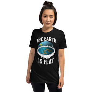 The Earth is Flat, Flat Earth Shirt